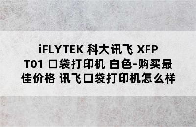 iFLYTEK 科大讯飞 XFPT01 口袋打印机 白色-购买最佳价格 讯飞口袋打印机怎么样